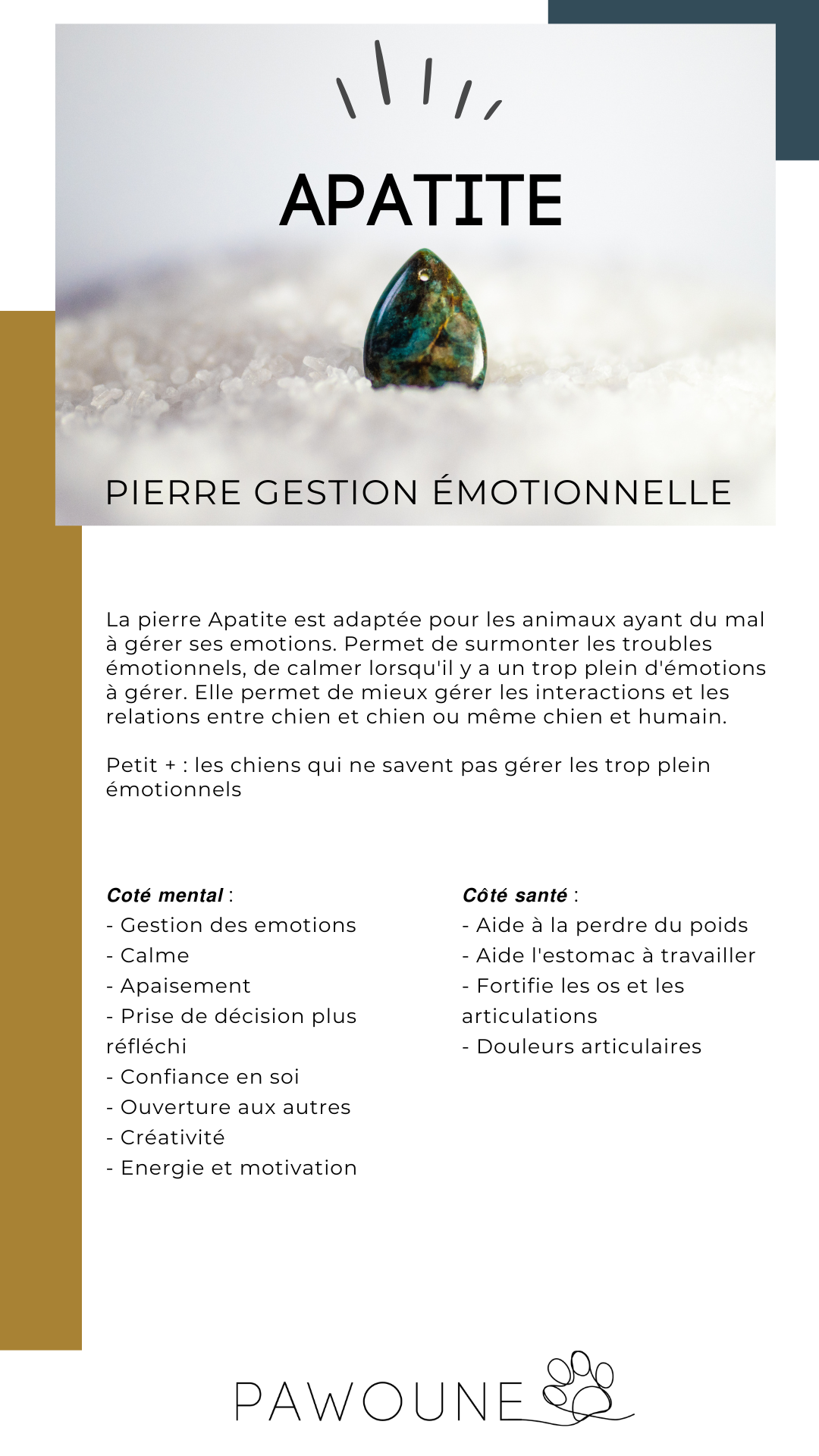 Apatite – Pierre gestion émotionnelle des chiens – Image 4
