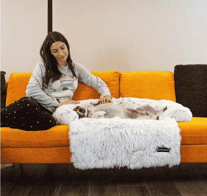 Coussin canapé pour dalmatien anti stress