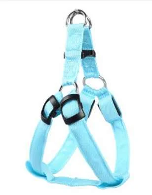 Harnais lumineux pour petit chien – Image 6