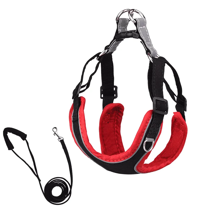 Harnais pour Akita Inu confortable avec laisse – Image 5