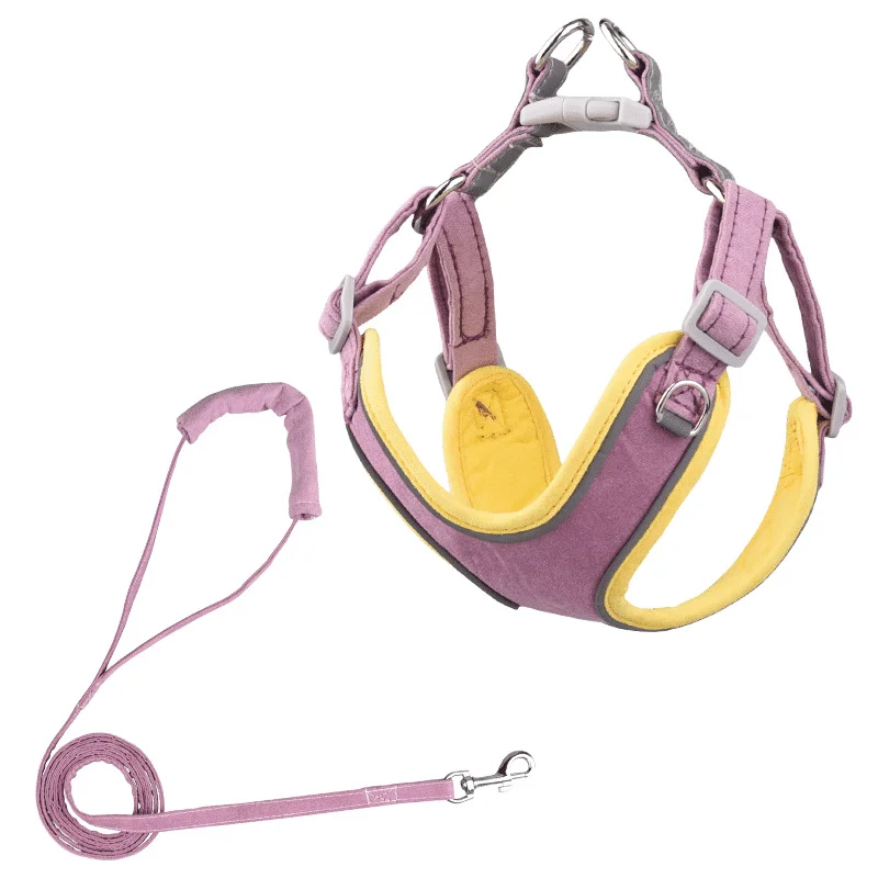 Harnais pour Akita Inu confortable avec laisse – Image 4