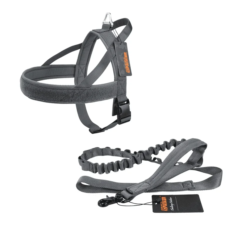 Harnais pour Rottweiller ergonomique – Image 6