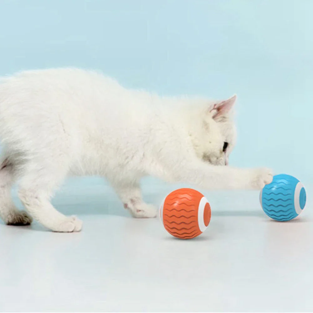 Balle Chat Interactive – Image 4