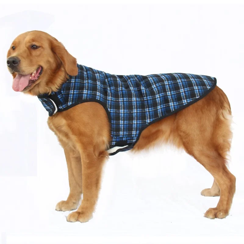 Vetement pour grands chien