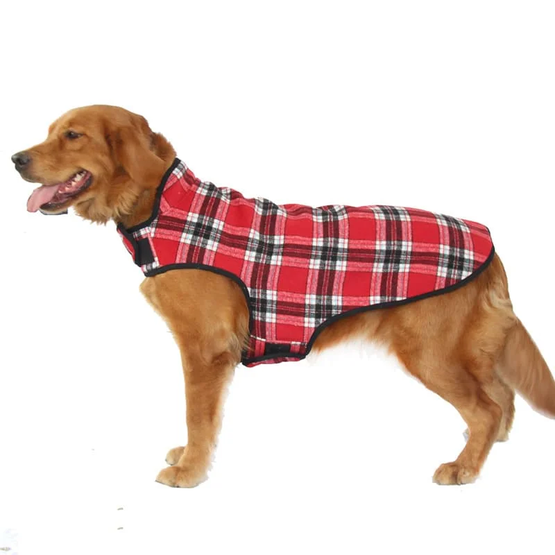 Vetement pour grands chien – Image 2
