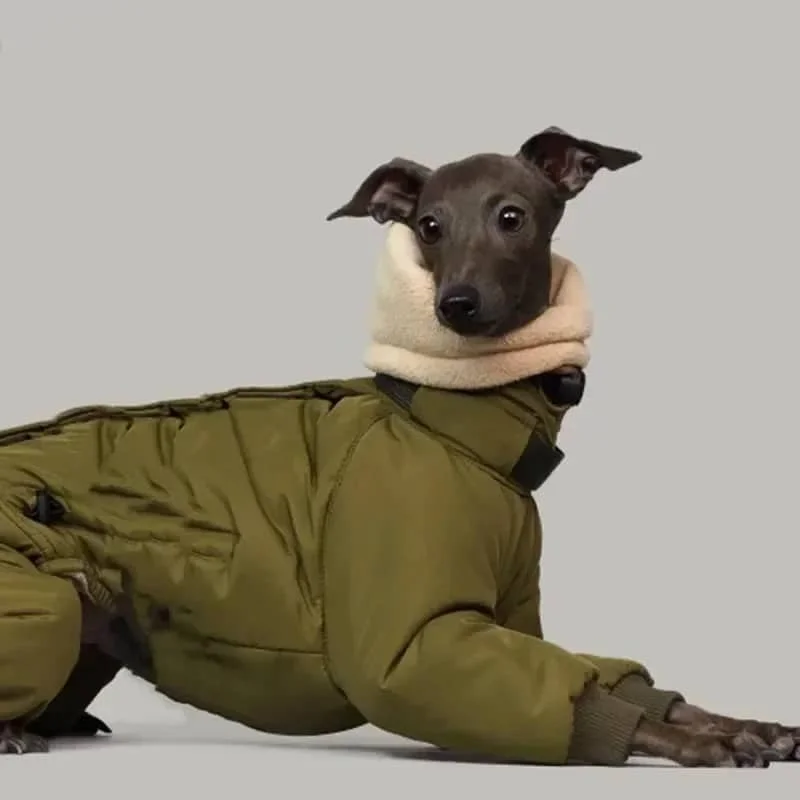 Combinaison chaude pour Whippet – Image 2