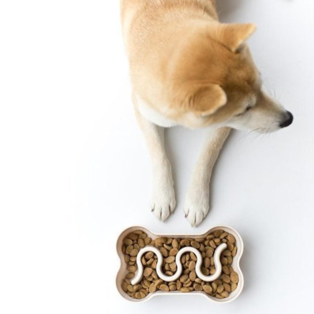 Gamelle Anti-Glouton Os | pour Chien – Image 4